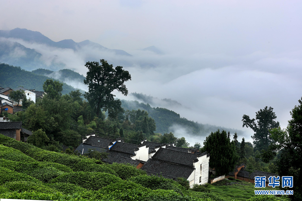 青黛远山云雾绕 白墙灰瓦山色娇