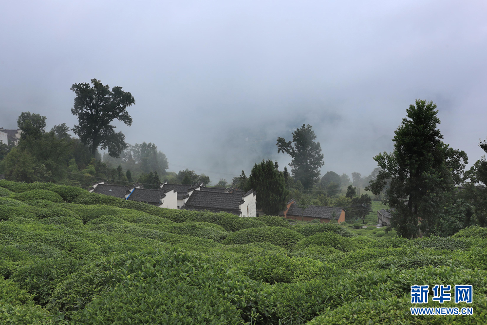青黛远山云雾绕 白墙灰瓦山色娇