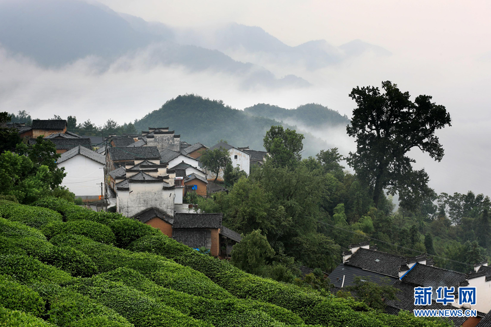 青黛远山云雾绕 白墙灰瓦山色娇