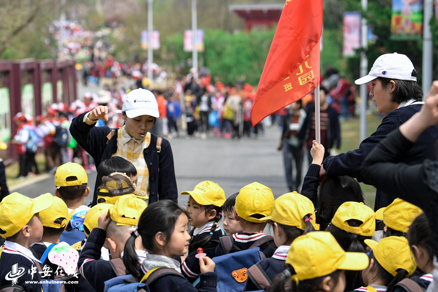 【春游江淮请您来】合肥植物园迎来踏青高峰 园内游人如织