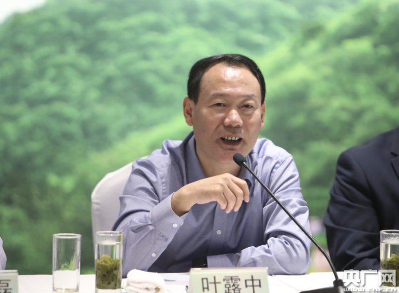 以茶为媒,安徽六安搭建央媒工行地方政府三方扶贫合作平台