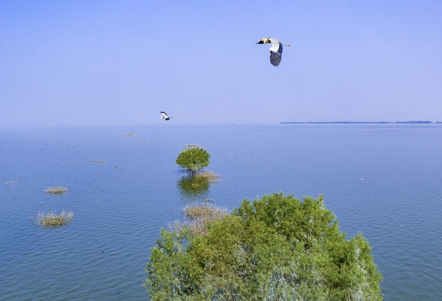 生态石臼湖.濮勇摄