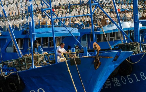 7月21日,在福建石狮东埔渔港,渔民准备下船加固渔船.