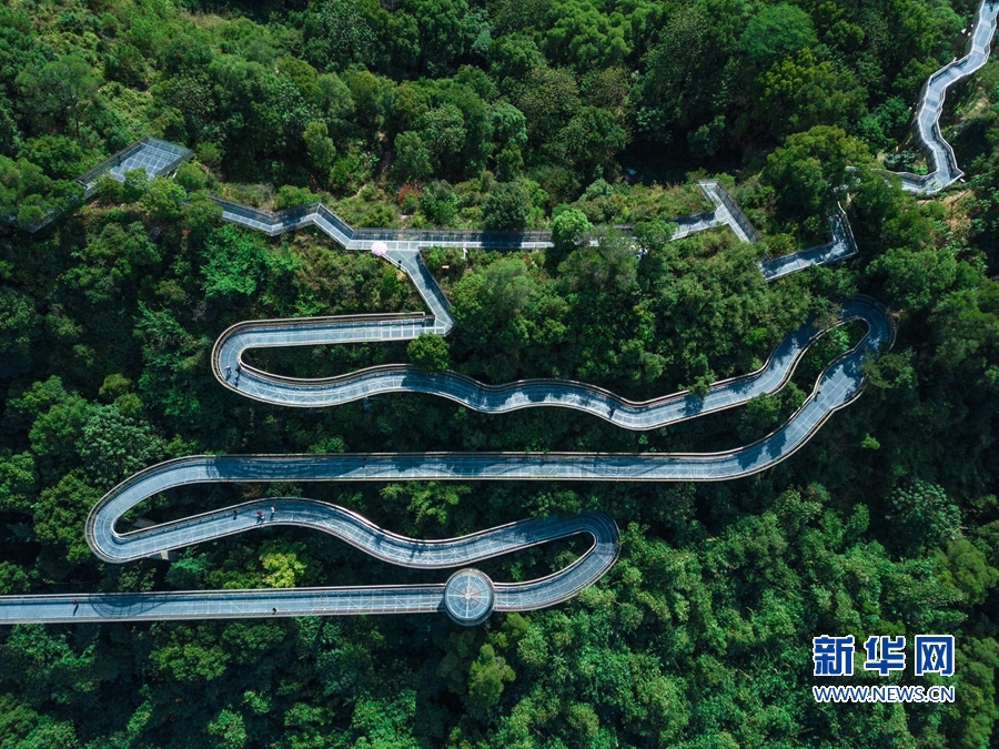 福州市已经建成开放的"福道"一角(11月22日摄).