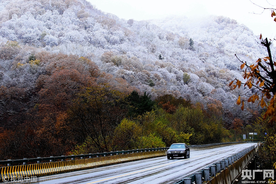 雨雪中的303国道集通线美如画卷_央广网