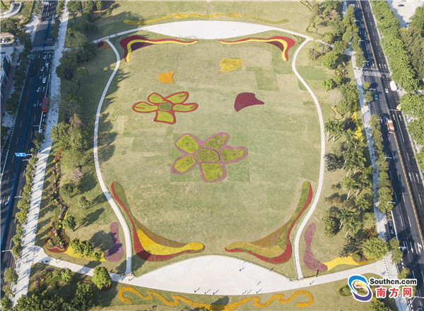 装扮后的草坪像一只可爱的猫咪.南方网全媒体记者张由琼 摄影报道