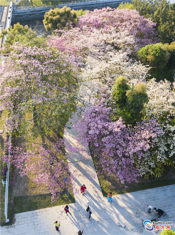 世象|最美丽的广州 迎接财富论坛