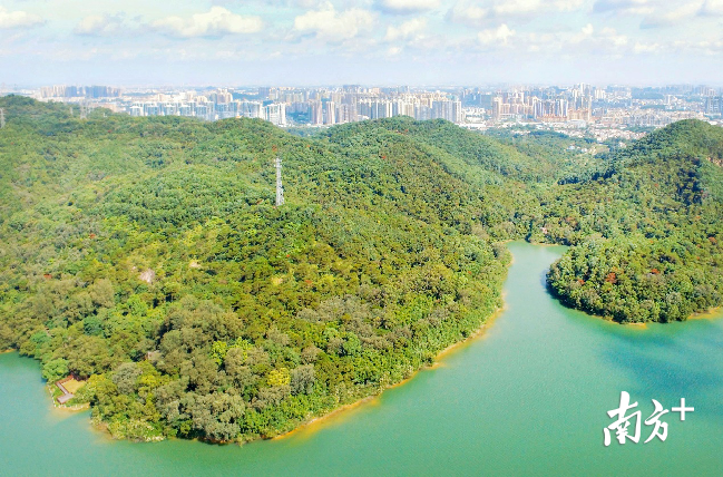 拿下“国家森林城市”称号的中山有多美？一组航拍图告诉你_央广网