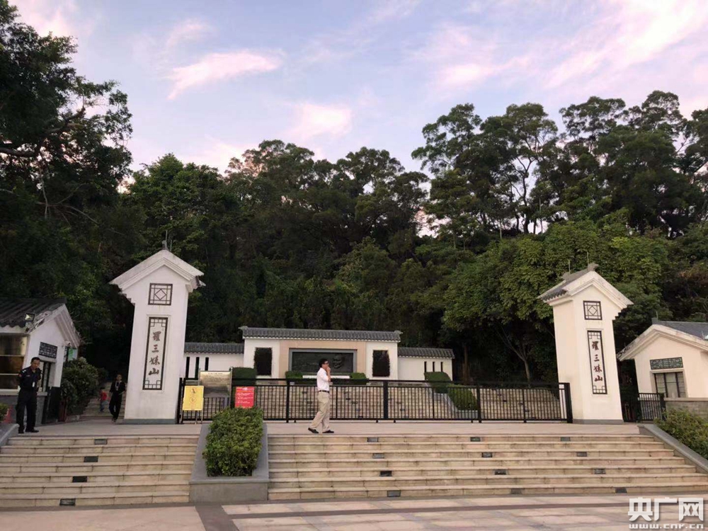 广东中山勇当改革开放先锋 持续释放发展新活力