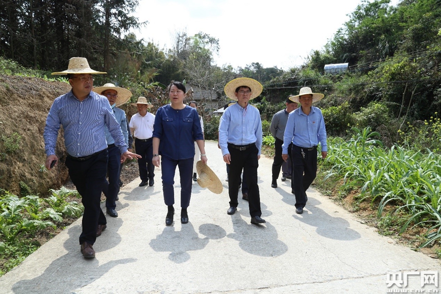 信宜市市委常委,组织部长江海晖到池洞镇丹竹自然村调研人居环境整治