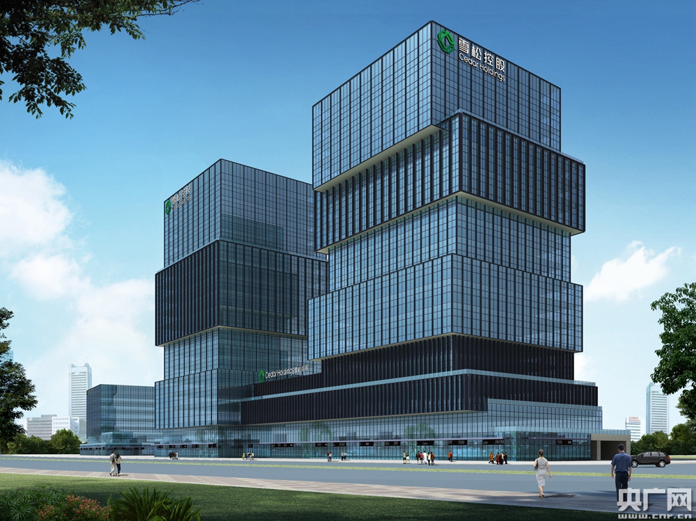 2019世界500强出炉广州第一民企雪松控股升至第301位