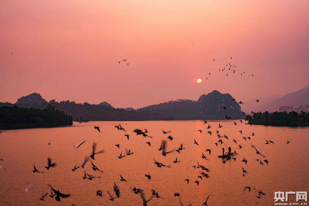 肇庆星湖"卧佛含丹"天象奇观进入最佳观赏期_央广网