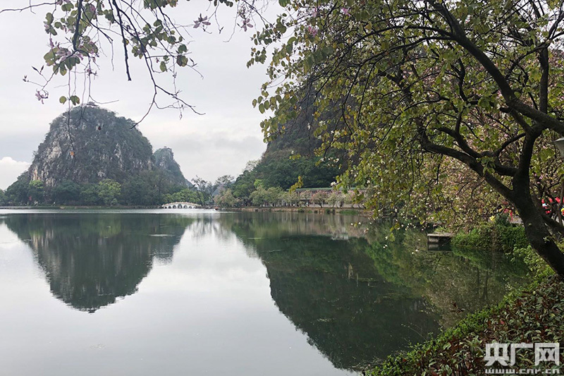 广东肇庆星湖成为国家5a级旅游景区