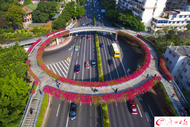 广州城市立交是怎样"进化"的?