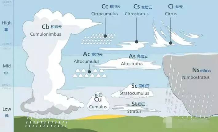 主持人鹿馨"跳槽"当气象主播啦?