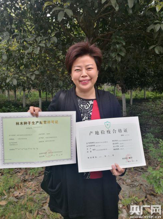 从"仅跑一次"到"零跑腿" 成都双流政务服务升级