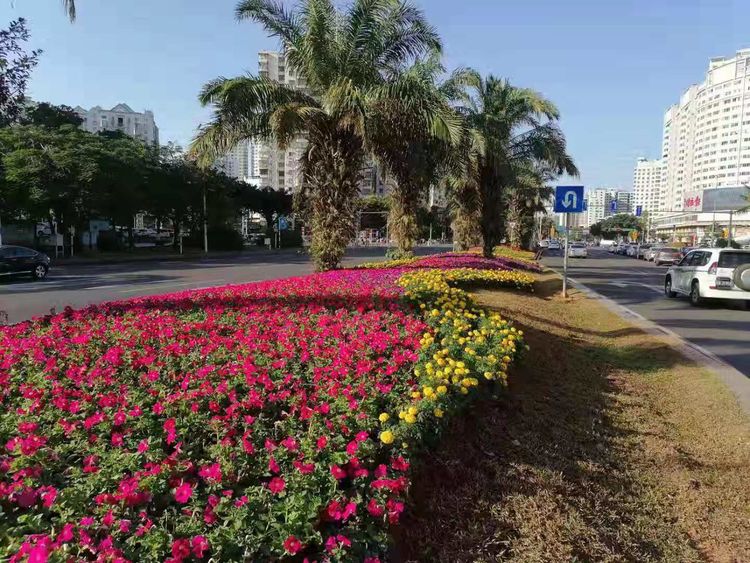 路,滨海大道,龙昆南路,滨江路,机场环路等主要道路和省委省政府大门