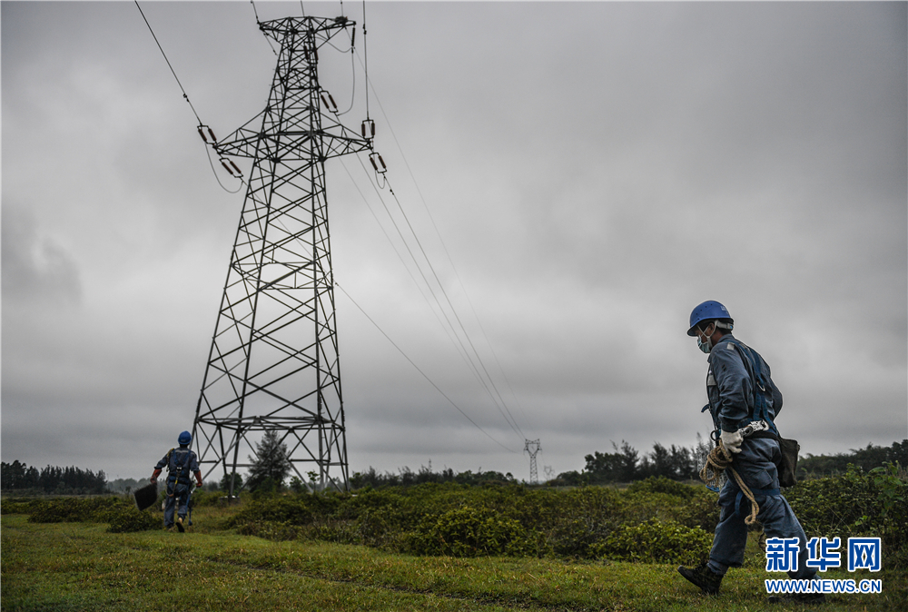 工作人员走向海南文昌一座有鸟儿筑巢的输电铁塔,准备安装人工鸟巢.