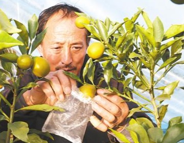 湖北频道·央广网