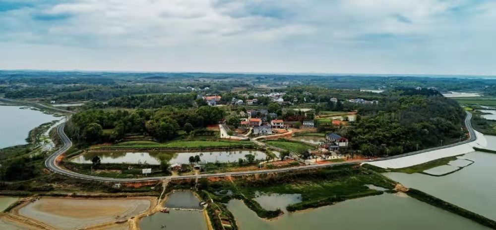 图为:万秀村三面环水,环湖绿道如玉带缠腰. 央广网发 何景星摄