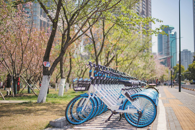 武汉上半年共享单车考核出炉 车辆管理问题持续好转