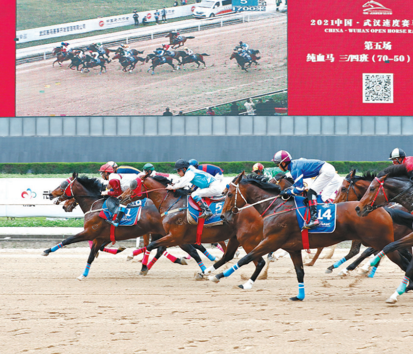 2021年中国速度赛马公开赛(武汉站)后的首个赛马日比赛在东方马城举行
