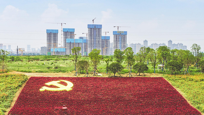 鲜花"绣"出巨幅党旗