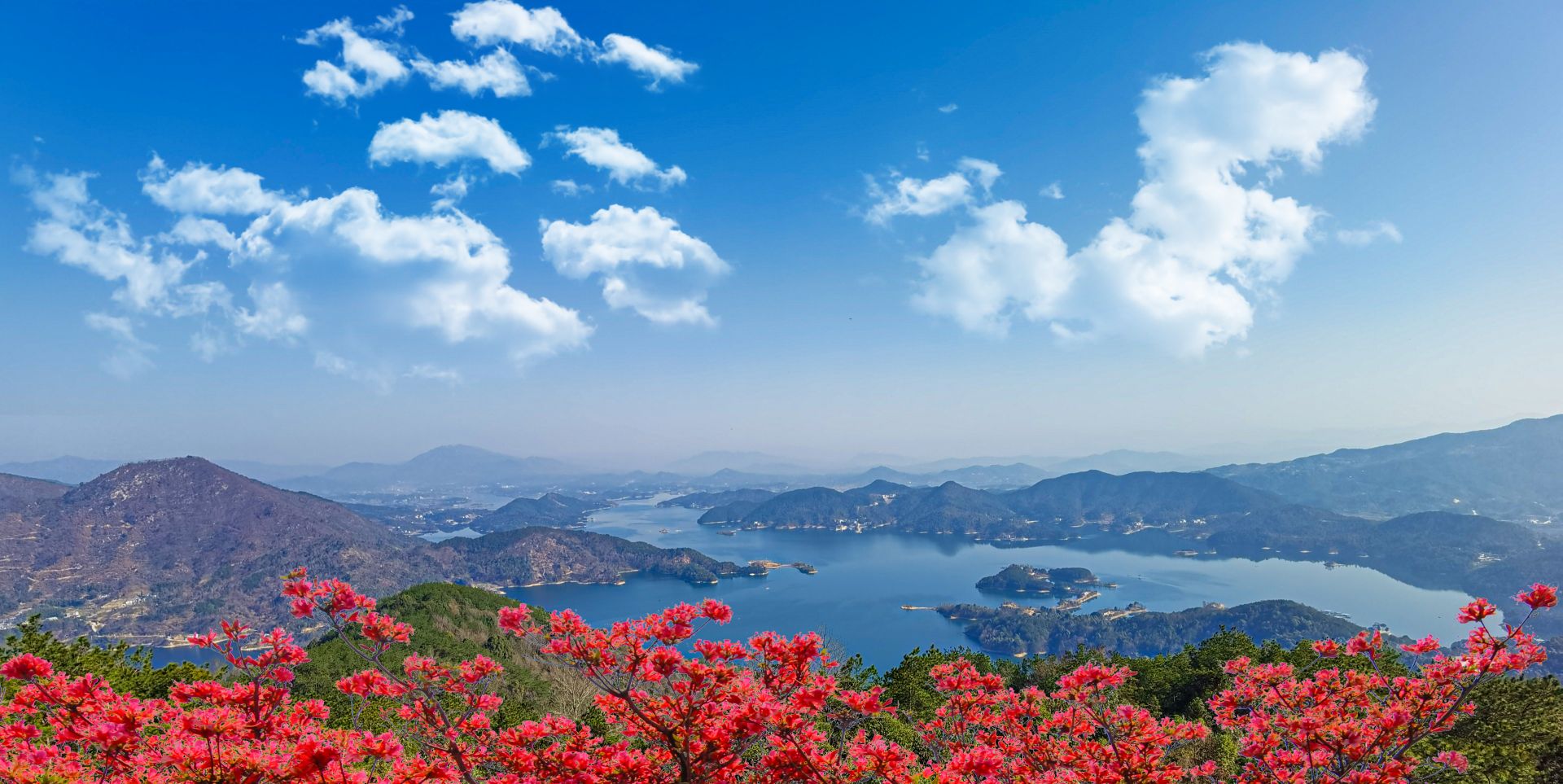 "生态白莲,最美湿地"摄影大赛启动