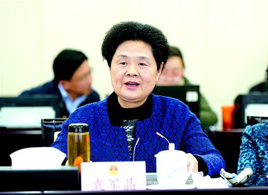 图为:袁军晶发言