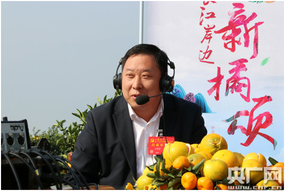 致富经主持人_cctv致富经主持人_cctv17致富经