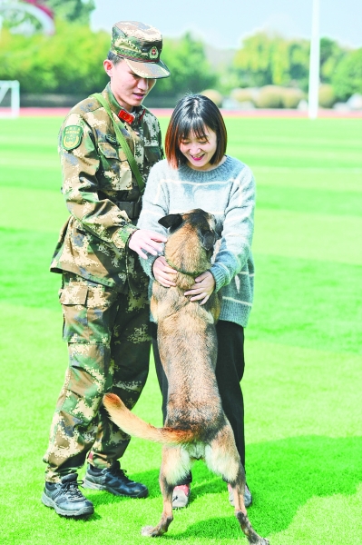 组图:无所不能的搜救犬是这样练成的