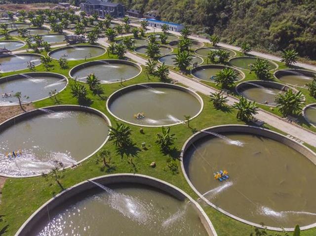 寄养宜都1年多400尾长江鲟回老家宜宾放流