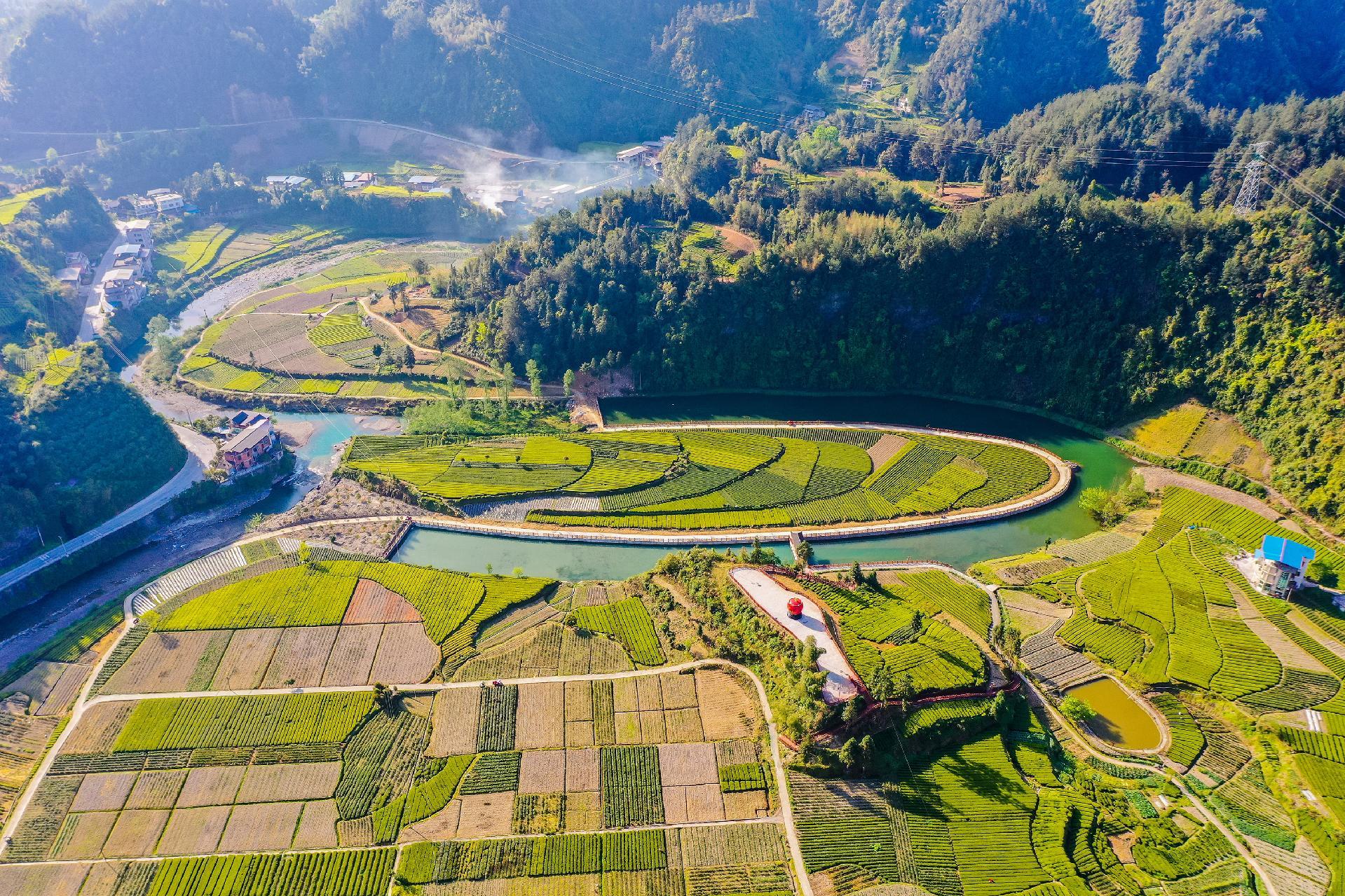 利川：航拍茶园美景_央广网