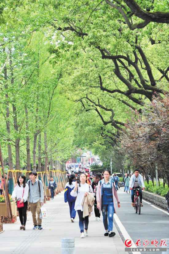 长沙韶山北路有了自行车专用道