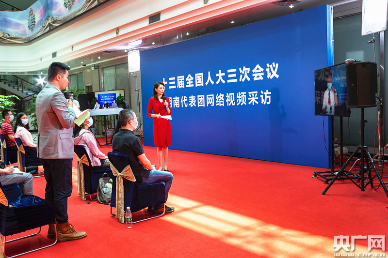 十三届全国人大三次会议湖南代表团举行网络视频采访