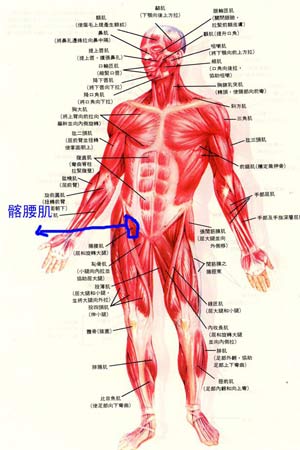 在中超联赛鏖战正酣之际,足坛反赌扫黑行动12日进一步升级.