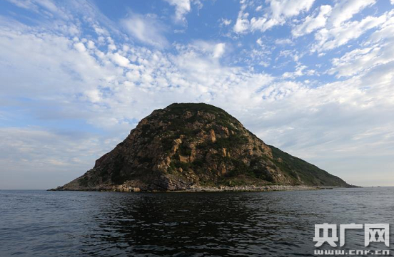 《中国蛇岛探秘》——央广夜新闻特别节目