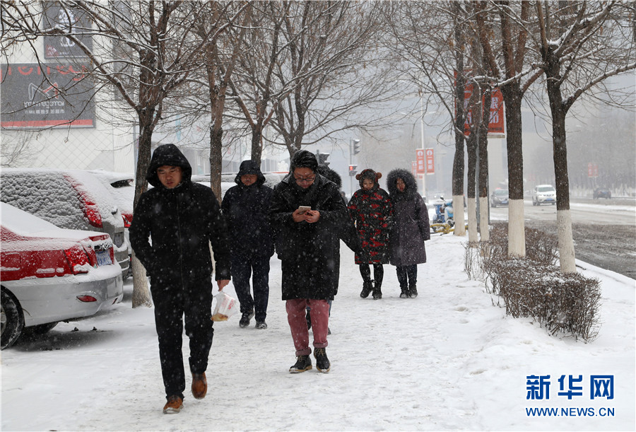 沈阳迎来农历猪年首场降雪
