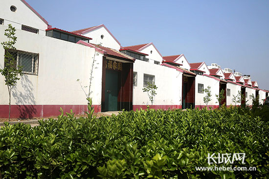 东留善固村新农村的建设.