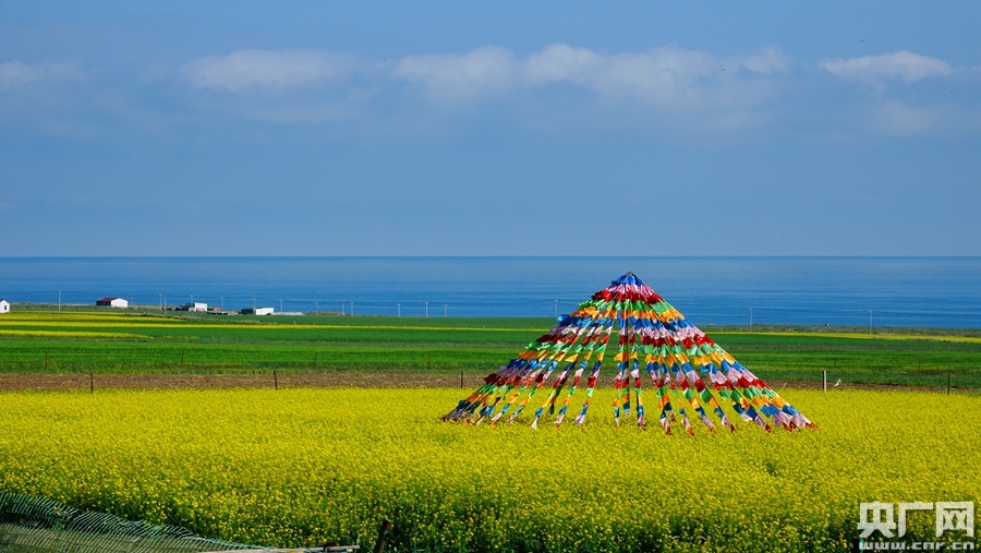 盛夏时节的青海湖美景(央广网发 张海东 摄)