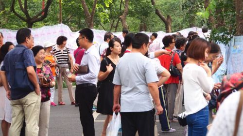 婚恋中心:打造幸福之桥