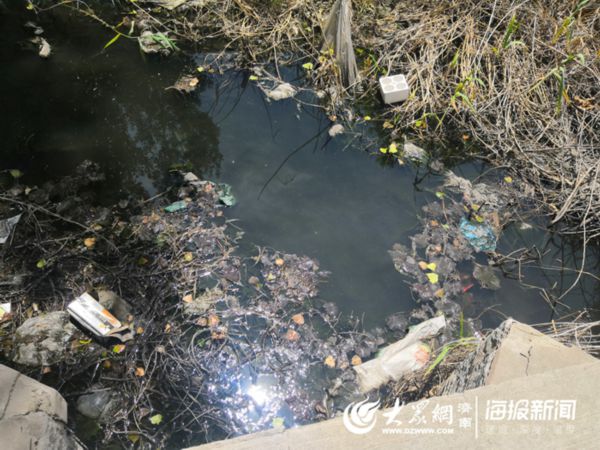 河水发红臭气熏天 济南章丘500米长河道疑似被污染
