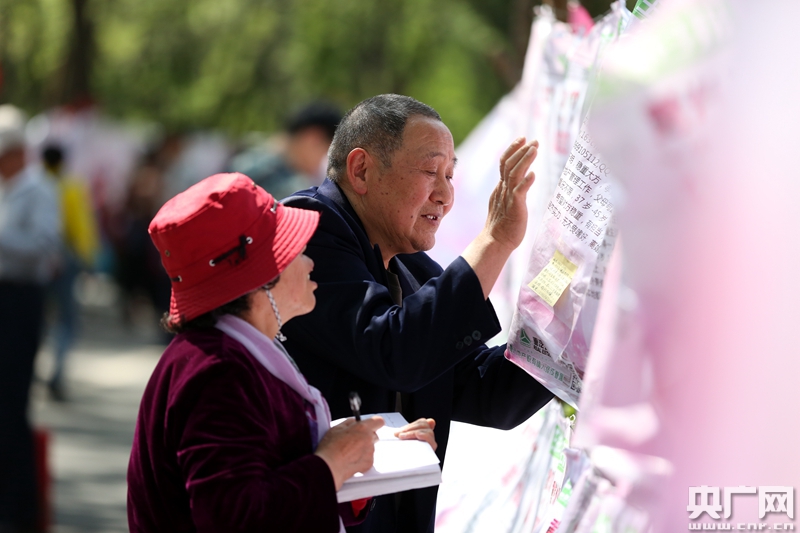 "父母们"的千佛山相亲会