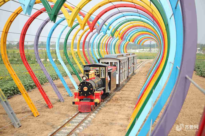 滨州穿越"爱情隧道"小火车走红