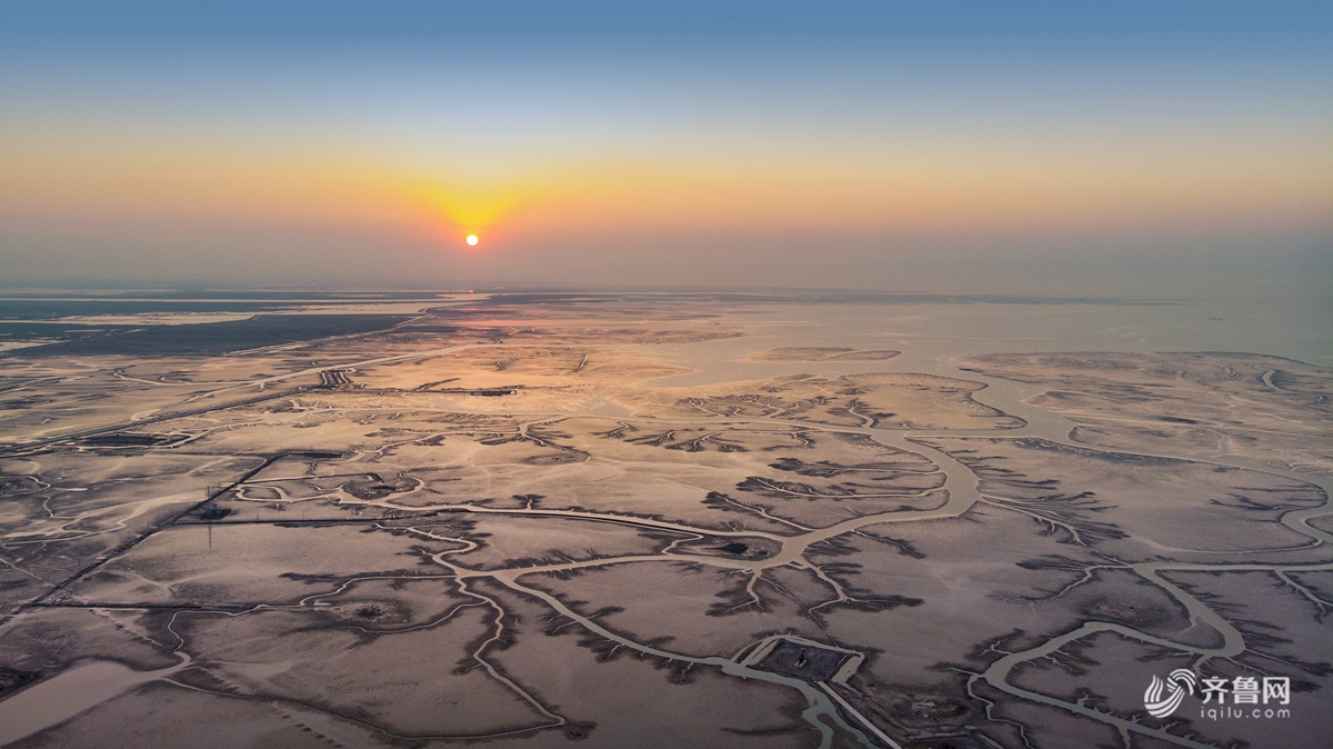 航拍黄河三角洲湿地 河流似大地经脉蔚为壮观