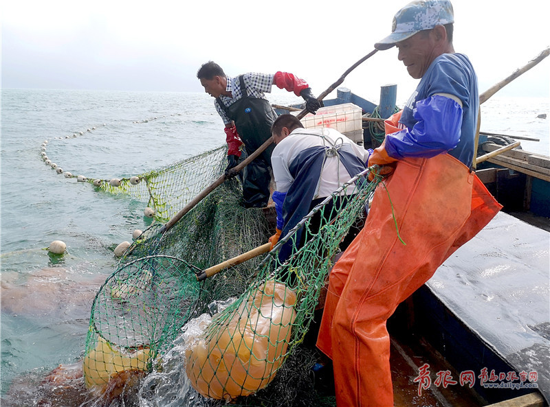 渔民出海:劳动奏响拉网之歌