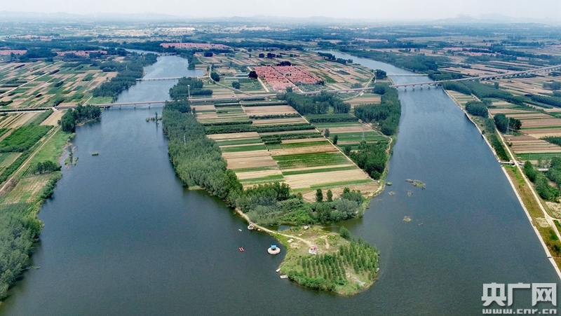 青岛:麦田地里"画"丰年