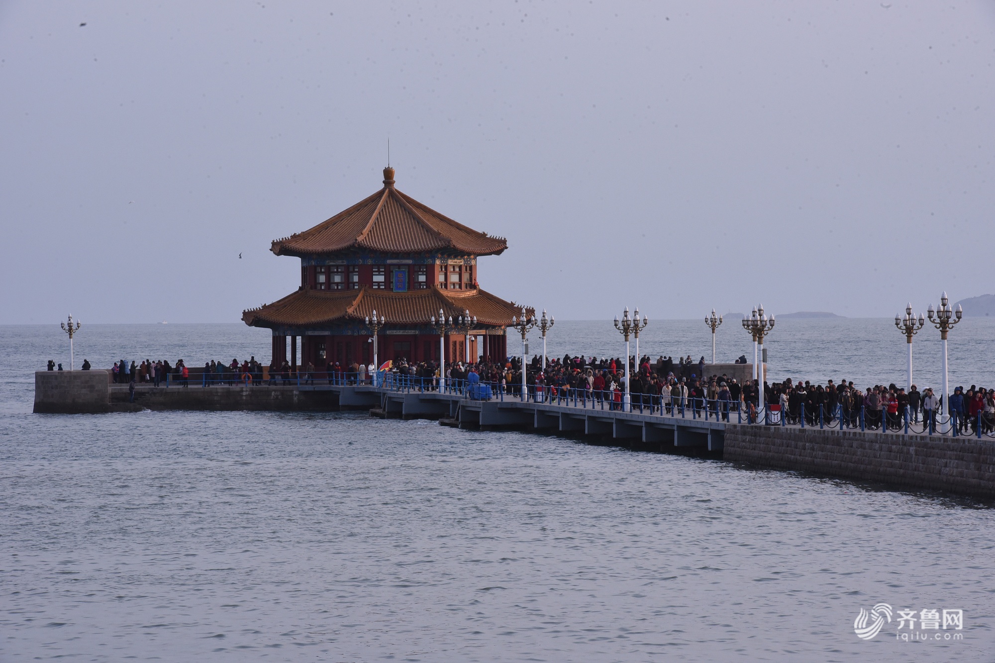 青岛栈桥游人如织 海鸥相伴过新年