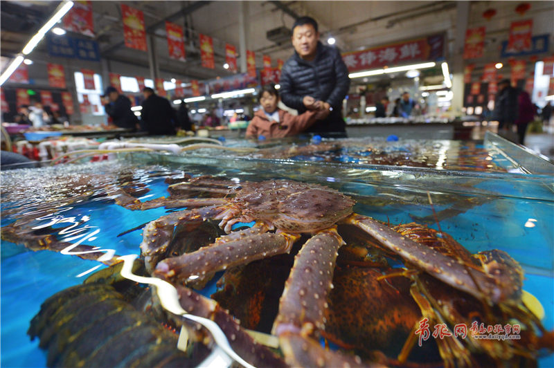 青岛水产品批发全攻略：冷冻海鲜、餐饮食材供货与海鲜礼盒批发的选品与采购要点