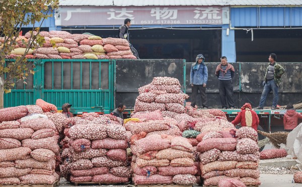 交易市场上正在被装车的大蒜.